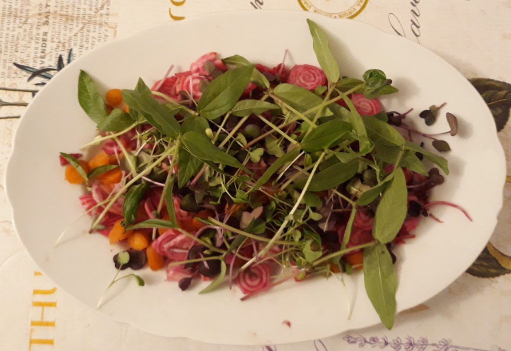 insalata ricca - Microgreen - Verde Vivo Superfood fresco in tavola
